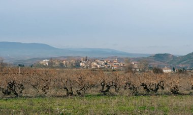 İspanya 'nın La Rioja kentindeki Tricio köyünün kırsal manzarası