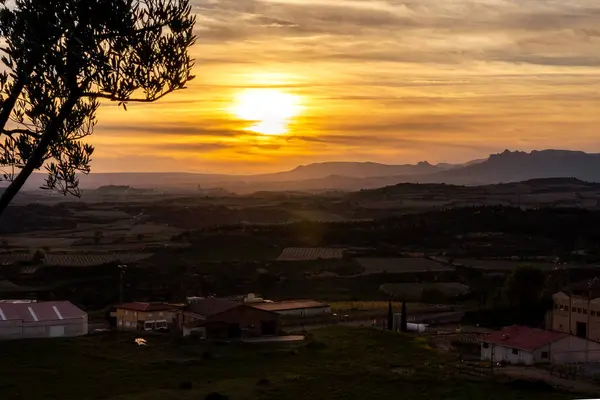 La Rioja 'daki (İspanya) üzüm bağları ve bazı tarım arazilerinin üzerinde gün batımı