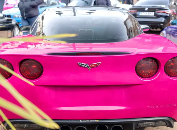 Logroo, La Rioja (İspanya); Mart 02 2025: Pembe renkli klasik spor araba. Bir Corvette 'in arka görüntüsü