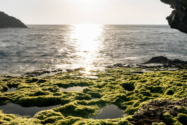 Мосс на скалах у побережья океана на закате