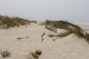 sahilde kum tepeleri