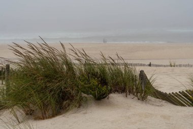 Portekiz 'in kuzeyindeki Atlantik Okyanusu Sahili