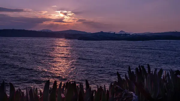 Yazın körfezin üzerinde gün doğumu