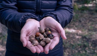 Kadın elinde bir avuç fıstıkla sonbahar ormanında.
