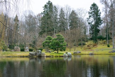 Japon bahçesinde göl manzarası. Tallinn (Estonya)
