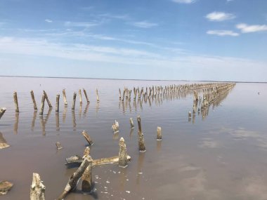 Güzel deniz manzarası