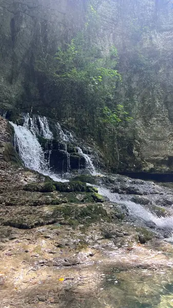 Ormanda güzel bir şelale