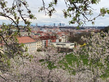 Prag'ın güzel manzarasını