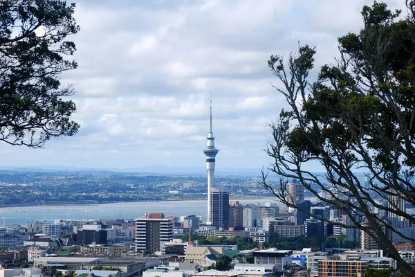 Gökyüzü Kulesi ve Helikopter Auckland 'da, Yeni Zelanda Açıklaması: Aucklands ikonik Gökyüzü Kulesi' nin yakınlarda uçan bir helikopterle dramatik bir yakın çekimi. Bu kentsel ufuk çizgisi anı statik mimari ve dinamik havacılık arasındaki zıtlığı yakalar. 