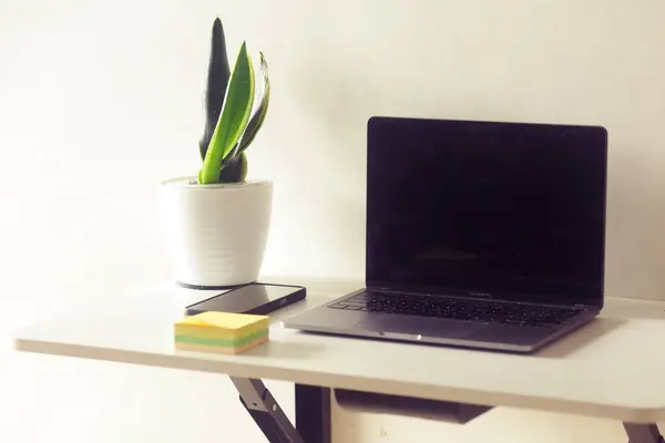 Temel teknolojili basit ofis masası, yapışkan notlar ve yumuşak ışıkta bitkiler. Tarafsız ses tonlarıyla temiz ve organize bir dizüstü bilgisayar sahnesi..