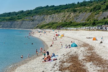 Lyme Regis, Dorset, İngiltere - 31 Temmuz 2024: İngiltere 'nin Dorset kentindeki Lyme Regis' te Monmouth Plajı                                                        