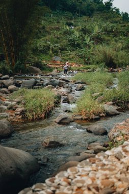 Ferahlatıcı Curug Sentul: Temiz Nehir Şelaleden akıyor, Ormanlarla çevrili, Doğa Aşıkları için ideal