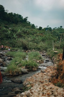Ferahlatıcı Curug Sentul: Temiz Nehir Şelaleden akıyor, Ormanlarla çevrili, Doğa Aşıkları için ideal