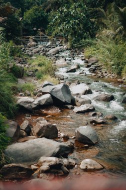 Ferahlatıcı Curug Sentul: Temiz Nehir Şelaleden akıyor, Ormanlarla çevrili, Doğa Aşıkları için ideal
