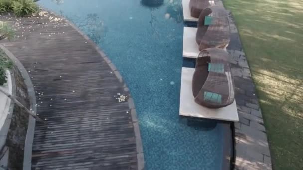 Tropical Paradise Serene Hotel Pool Scene Situado Meio Jardins Vibrantes — Vídeo de Stock