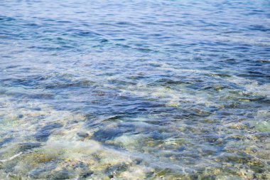 Deniz Kaplumbağası Tayvan 'da Kristal Deniz Suları ve Dalgalar' da yüzüyor