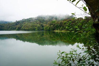 Serene Calm Lake Reflecting Misty Forest in the Morning in Lembang clipart