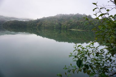 Huzurlu Sakin Göl Lembang 'da Sabahın Buğulu Ormanı Yansıtıyor