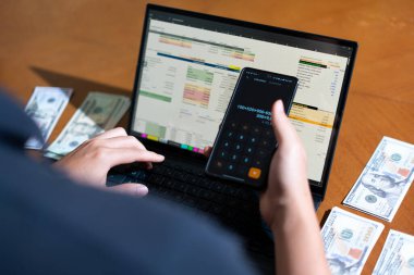 Bir kişi toplam para miktarını hesaplamak için bir dizüstü bilgisayar ve bir cep telefonu kullanıyor. Dizüstü bilgisayar ekranında çeşitli sayılar ve hesaplamalarla birlikte bir hesap tablosu gösteriliyor