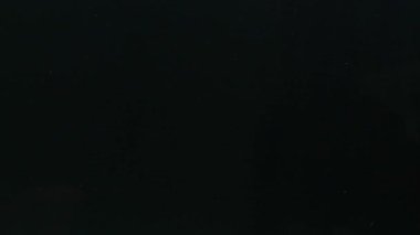 Mix of tropical freshwater fish Silver Arowana, red and white Oscar cichlids, and Tinfoil Barbsgliding through the same tank, in dark background, exotic fishkeeping or aquascaping visuals.