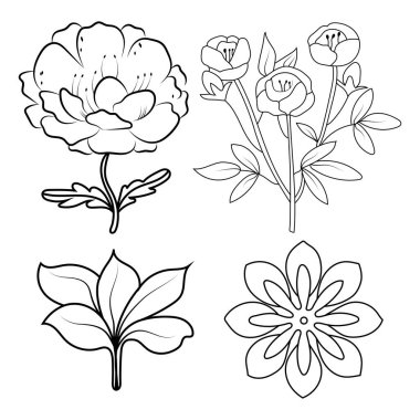 El çizimi basit çiçek ana hatları