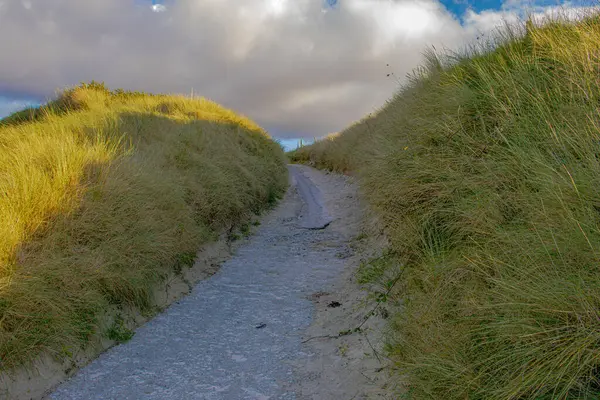 Breton sahilinin sonbahar taklitleri. Denizde altın ışık dans ediyor. Engebeli kayalıklar ve yumuşak dalgalar, sakin bir gökyüzünün altında buluşarak Frances 'in vahşi kıyı şeridinin şairane güzelliğini yakalıyor..