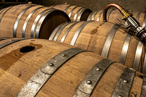 Bir üzüm bağındaki şarap mahzeninin cazibesini keşfet. Yaşlanan fıçıları, zengin aromaları ve özenle hazırlanmış kaliteli şarapları keşfedin. Geleneklerin her yudumda lezzetle buluştuğu, şarap meraklıları için mükemmel bir yer..