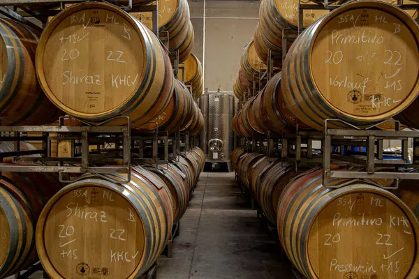 Bir üzüm bağındaki şarap mahzeninin cazibesini keşfet. Yaşlanan fıçıları, zengin aromaları ve özenle hazırlanmış kaliteli şarapları keşfedin. Geleneklerin her yudumda lezzetle buluştuğu, şarap meraklıları için mükemmel bir yer..