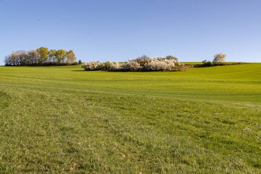 Tarım ilkbaharı yeşil çayırları ve yeni bitkilerin büyümesinin ilk işaretlerini getirir. Tarlalar uyanır, tomurcuklar filizlenir ve doğa kışın sessizliğinden sonra canlanmaya başlar..