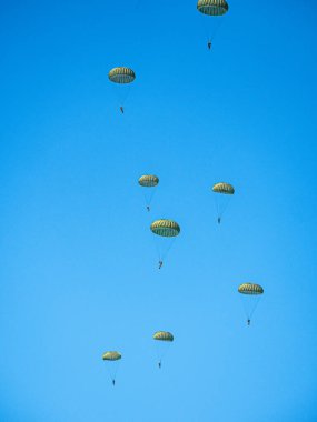 Alman paraşütçüler, hızlı konuşlanma ve çok uluslu işbirliğini geliştirmek amacıyla NATO tatbikatına katıldılar. Tatbikatta hava operasyonları, taktik manevralar ve ortak görev hazırlığı yer alıyor..