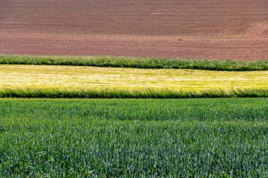 Geometrik çizgiler, zıt ışık ve gölgelerle vurgulanan bir manzara boyunca desenler oluşturur. Görüntü soyut formları, doğal dokuları ve dışarıdaki görsel ritmi vurgular..