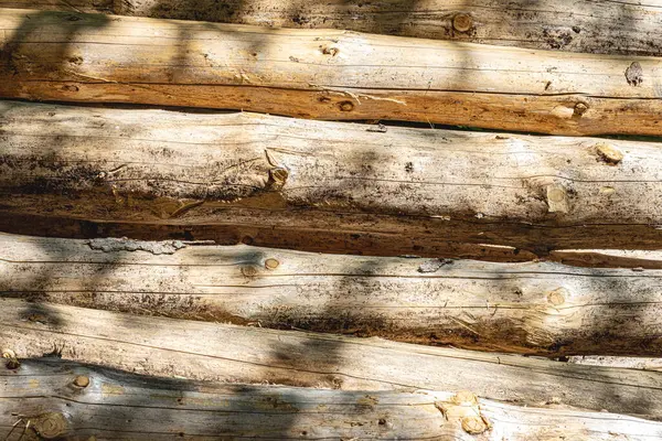 Bir ormanda kozalaklı ağaçlar devrilmiş ve gövdeleri nakil için düzgünce istiflenmiş. Ağaç kesme alanı uzun çam ağaçları ile çevrili, yerde orman makinelerinin izleri var..