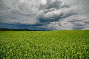 Karanlık bir hava ile yaz fırtınası yaklaşıyor ve derin mavi gökyüzünün altındaki yemyeşil alanlar üzerinde dramatik, yüksek kontrastlı bulutlar..