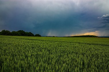 Karanlık bir hava ile yaz fırtınası yaklaşıyor ve derin mavi gökyüzünün altındaki yemyeşil alanlar üzerinde dramatik, yüksek kontrastlı bulutlar..