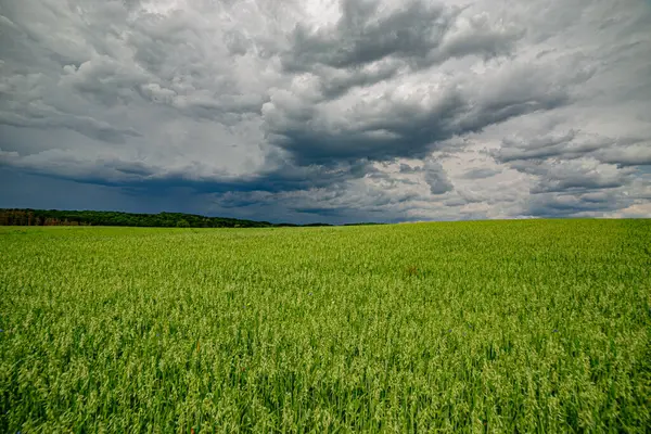 Karanlık bir hava ile yaz fırtınası yaklaşıyor ve derin mavi gökyüzünün altındaki yemyeşil alanlar üzerinde dramatik, yüksek kontrastlı bulutlar..