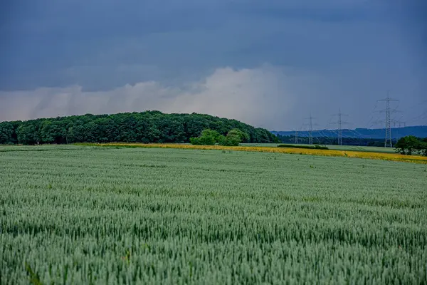 Karanlık bir hava ile yaz fırtınası yaklaşıyor ve derin mavi gökyüzünün altındaki yemyeşil alanlar üzerinde dramatik, yüksek kontrastlı bulutlar..