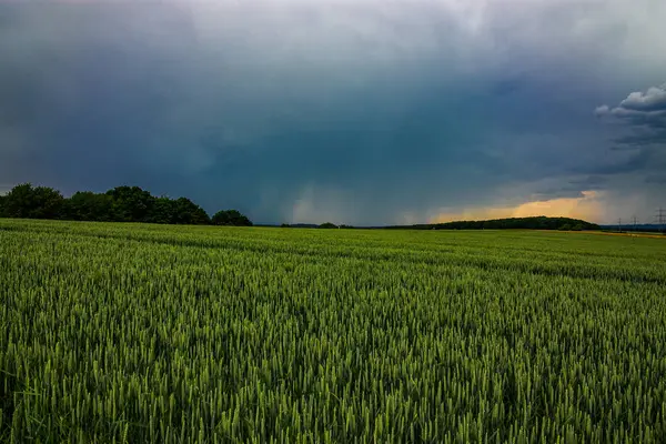 Karanlık bir hava ile yaz fırtınası yaklaşıyor ve derin mavi gökyüzünün altındaki yemyeşil alanlar üzerinde dramatik, yüksek kontrastlı bulutlar..