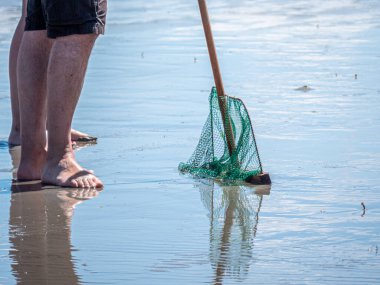 Kıyı şeridindeki yumuşak dalgalarda kısmen köpüklü suya batmış bir balık ağı (dip ağı) bulunur. Sahne, sahil yaşamının ve kıyı faaliyetlerinin sakin bir anını yakalıyor..