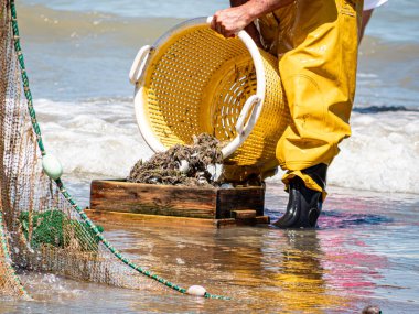 Bir balıkçı kumsaldaki yengeçlerle dolu ağını boşaltır ve avını elle ayırır. Sabah ışığı ıslak kumda parlıyor ve geleneksel kıyı geçimini yakalıyor..