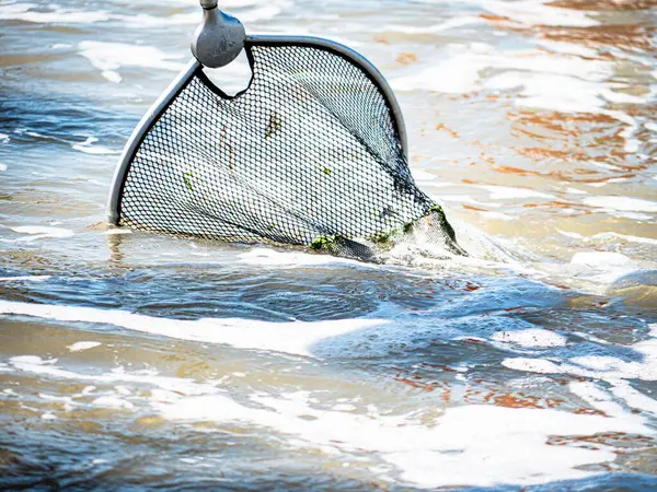 Kıyı şeridindeki yumuşak dalgalarda kısmen köpüklü suya batmış bir balık ağı (dip ağı) bulunur. Sahne, sahil yaşamının ve kıyı faaliyetlerinin sakin bir anını yakalıyor..