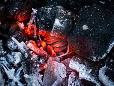 Parlayan kırmızı közleri ve yanan odunları olan odun ızgara ateşi. Alevler odunların etrafında dans eder, ısı yayar ve açık havada yemek pişirmek için mükemmel bir temel oluşturur. Ya da sıcak bir kamp ateşi..