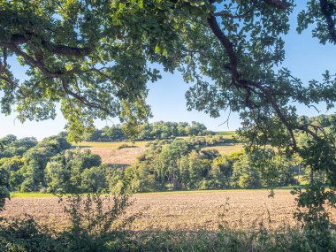 Geometrik çizgiler, zıt ışık ve gölgelerle vurgulanan bir manzara boyunca desenler oluşturur. Görüntü soyut formları, doğal dokuları ve dışarıdaki görsel ritmi vurgular..