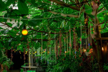 Bokeh arka planda açık bir kafede ışıklar, seçici odak