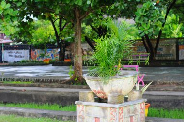 Güzel botanik fotoğrafı, doğal duvar kağıdı.