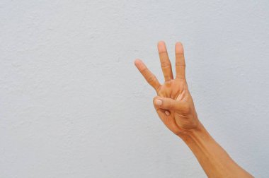 el gösteren üç numaralı