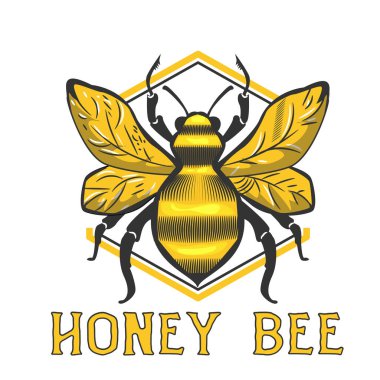 bal logosu tasarım şablonu vektörü. Simgenin illüstrasyonu