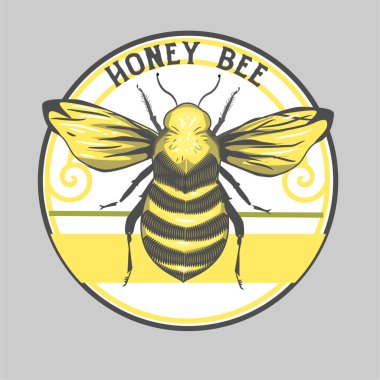 Bal arılı arı yetiştiricisi.