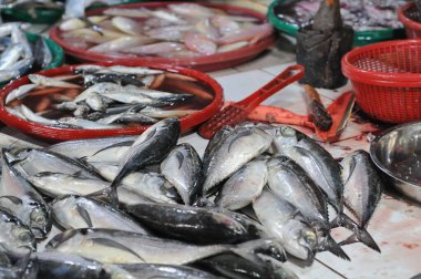 geleneksel pazarlarda çeşitli taze balıklar