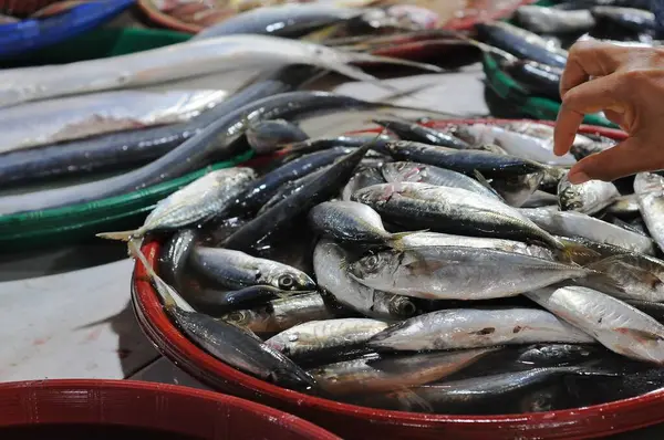 various fresh fish in traditional markets