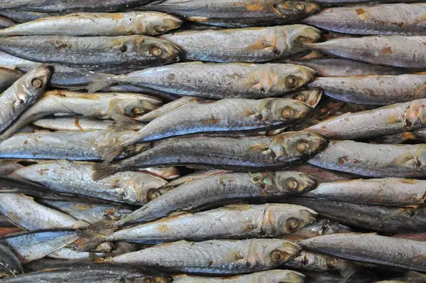 salted fish in traditional markets
